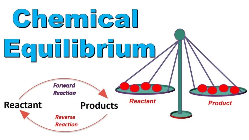 A Chemical Reaction Is At Equilibrium When The Rate Of Forward And Reverse Reaction Are